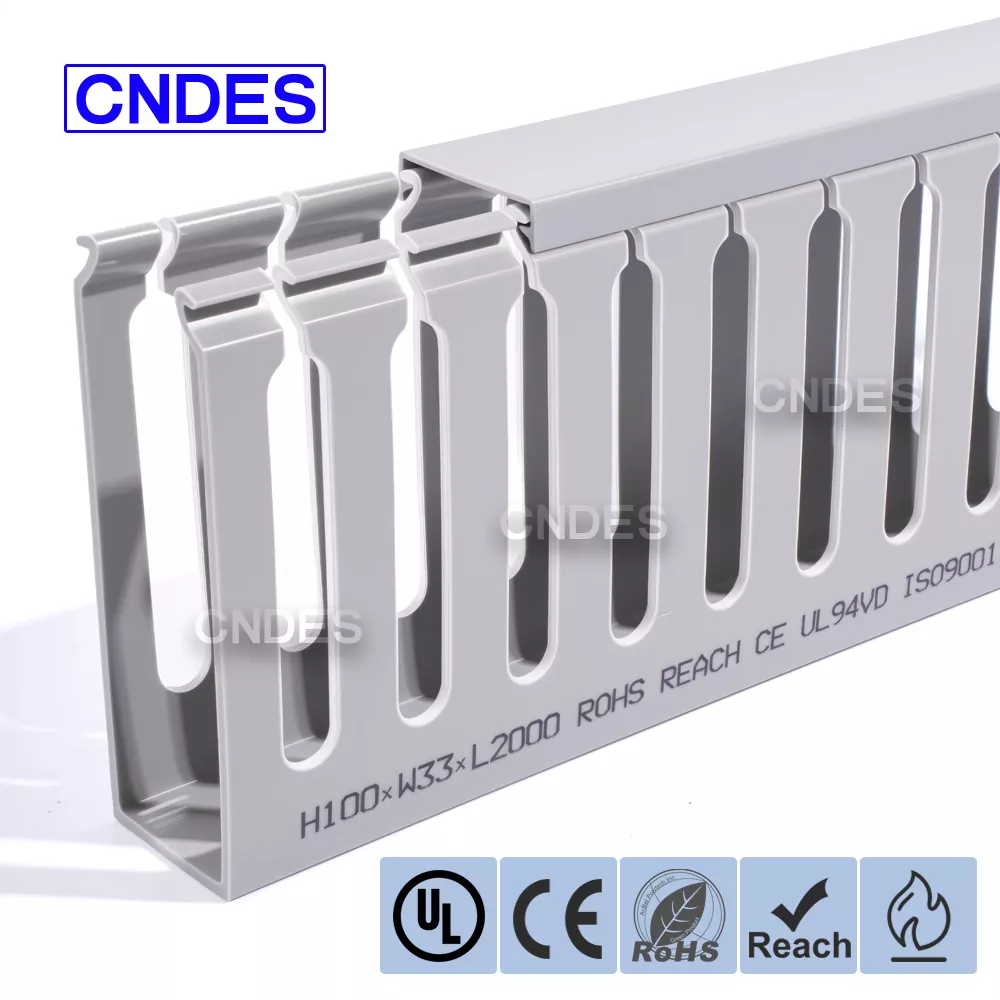 Gestione cavi rack server 100×33